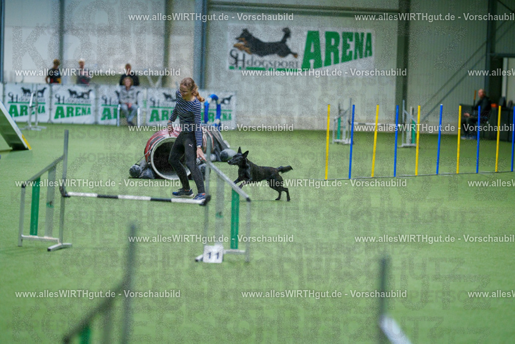 @allesWIRTHgut_Tierfotografie - www.allesWIRTHgut.de - 2604250812-7R505744 | Professionelle Tierfotografie in Mönchengladbach von Daniel Wirth (allesWIRTHgut). Liebevolle & natürliche Bilder von Hunden & Katzen für unvergessliche Erinnerungen.