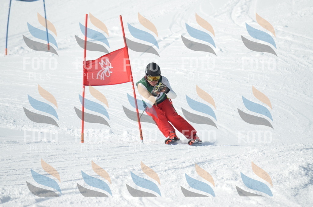 D8930 | holidayphoto