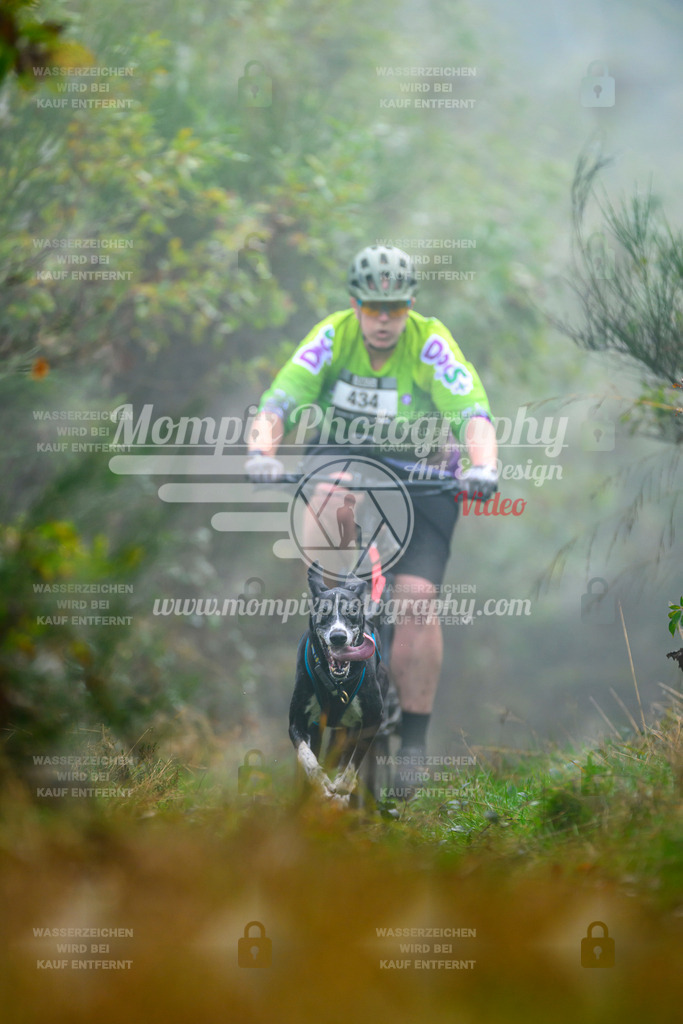 MompixPhotography_20TSB_E4_Bike-146 | PayLife