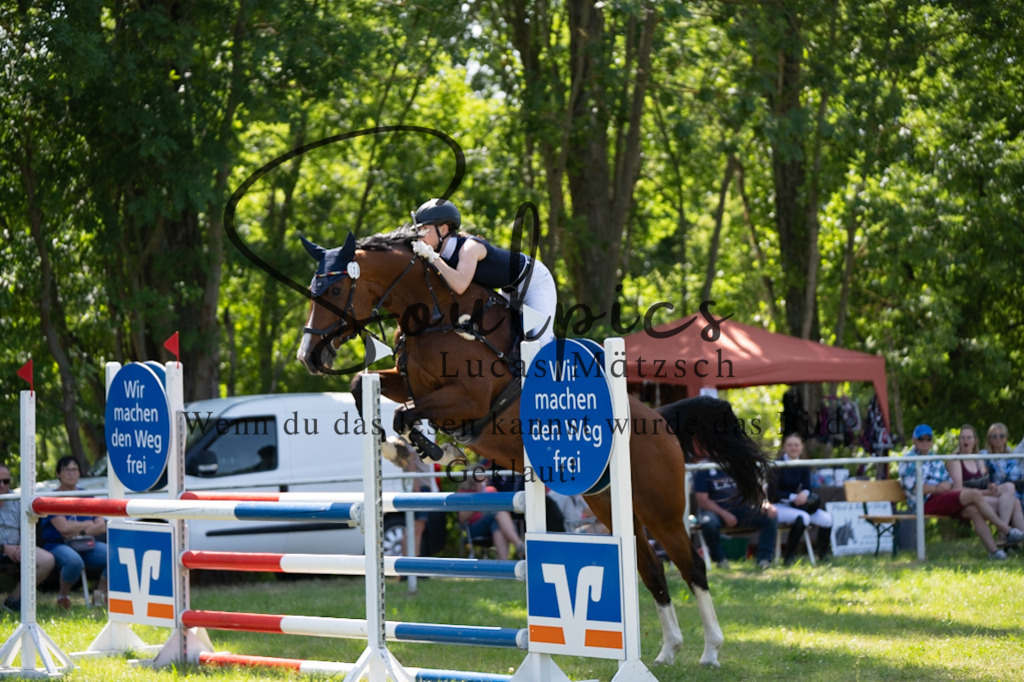 A7V06334 | Pferdefotograf