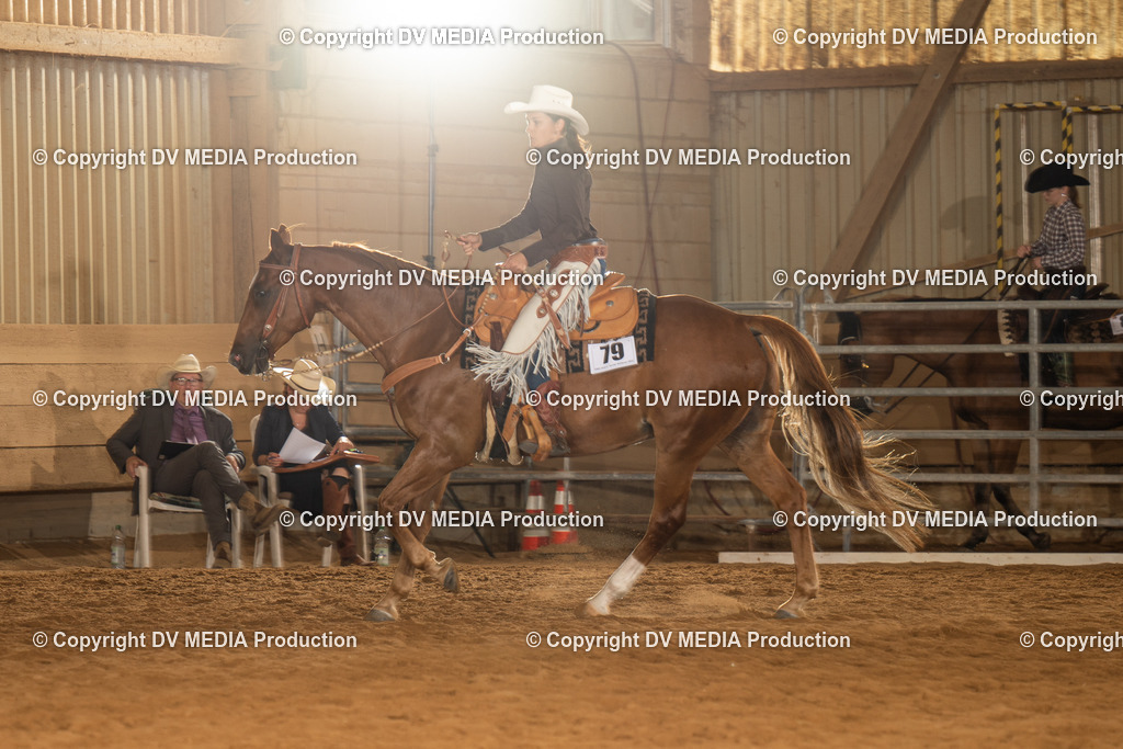 NID01482 | dv-media-shop - Realisiert mit Pictrs.com