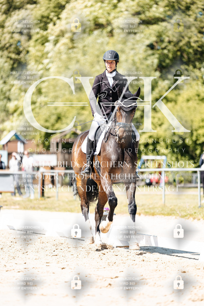 CK905462 | Turnierfotografie Pferdefotografie Trier Rheinland-Pfalz Pferdesport Reitsport Tierfotografie Sportfotografie Pferdevideo Pferdevideografie Equestrianvideography equestrianphotography  - Realisiert mit Pictrs.com