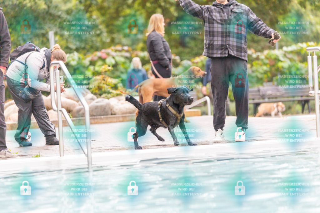 _HP_7322_1000o | HetPix, HetPix Fotodesign, Fotografie, Fotodesign, Webshop, Motorsport, American Football, Event, Events, Onlineshop, Sportfotografie, Polch, Motorsportfotografie, Eventfotografie