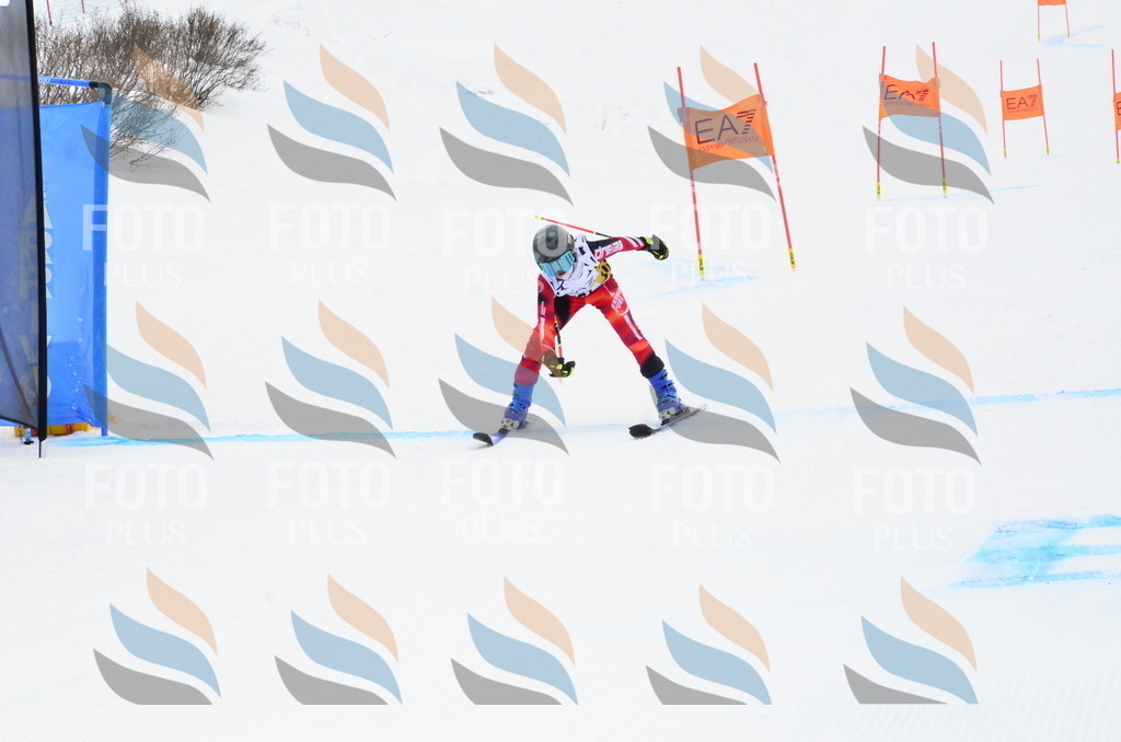 _ELE3999 | holidayphoto