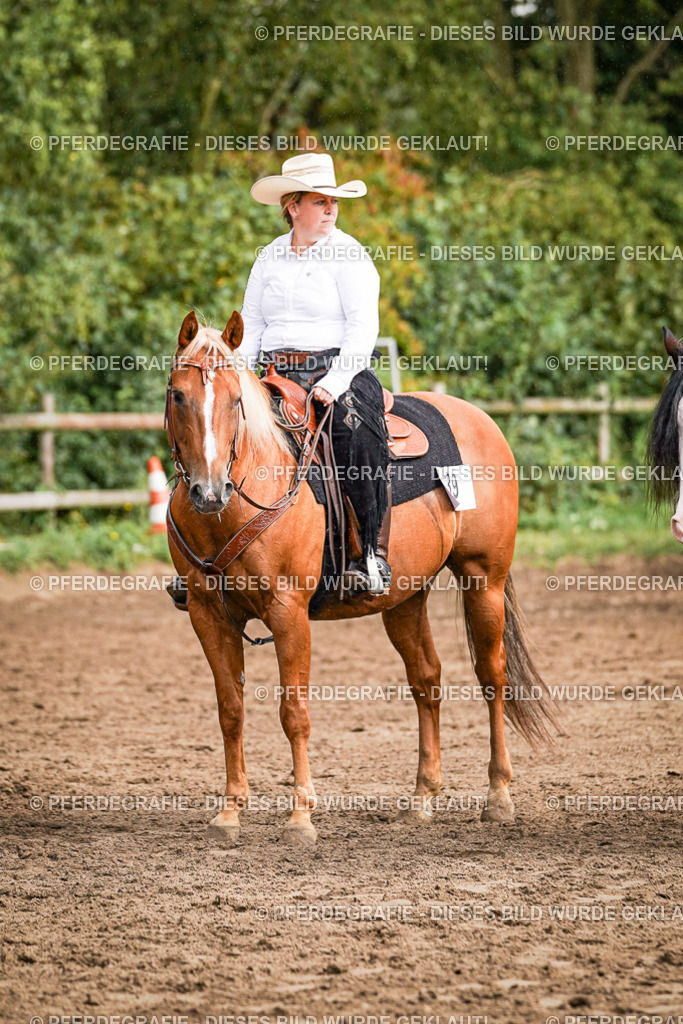 DSC09253 | Pferdegrafie