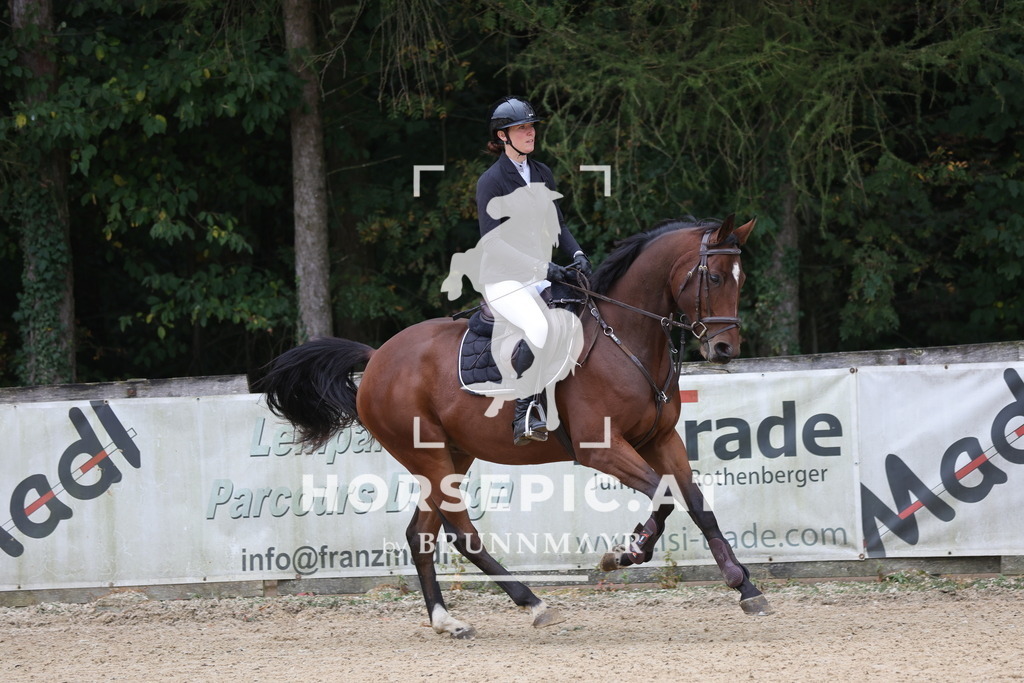 0P6A5522 | Willkommen bei Brunnmayr - Design & Fotografie – Ihrem Spezialisten für Reitturniere und Pferdeveranstaltungen in Oberösterreich, Salzburg und Bayern! Seit über 17 Jahren sind wir leidenschaftlich dabei.