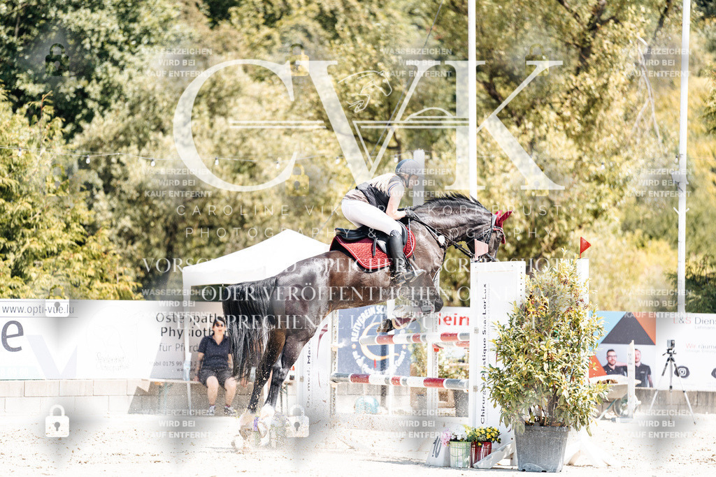CK900643 | Turnierfotografie Pferdefotografie Trier Rheinland-Pfalz Pferdesport Reitsport Tierfotografie Sportfotografie Pferdevideo Pferdevideografie Equestrianvideography equestrianphotography  - Realisiert mit Pictrs.com