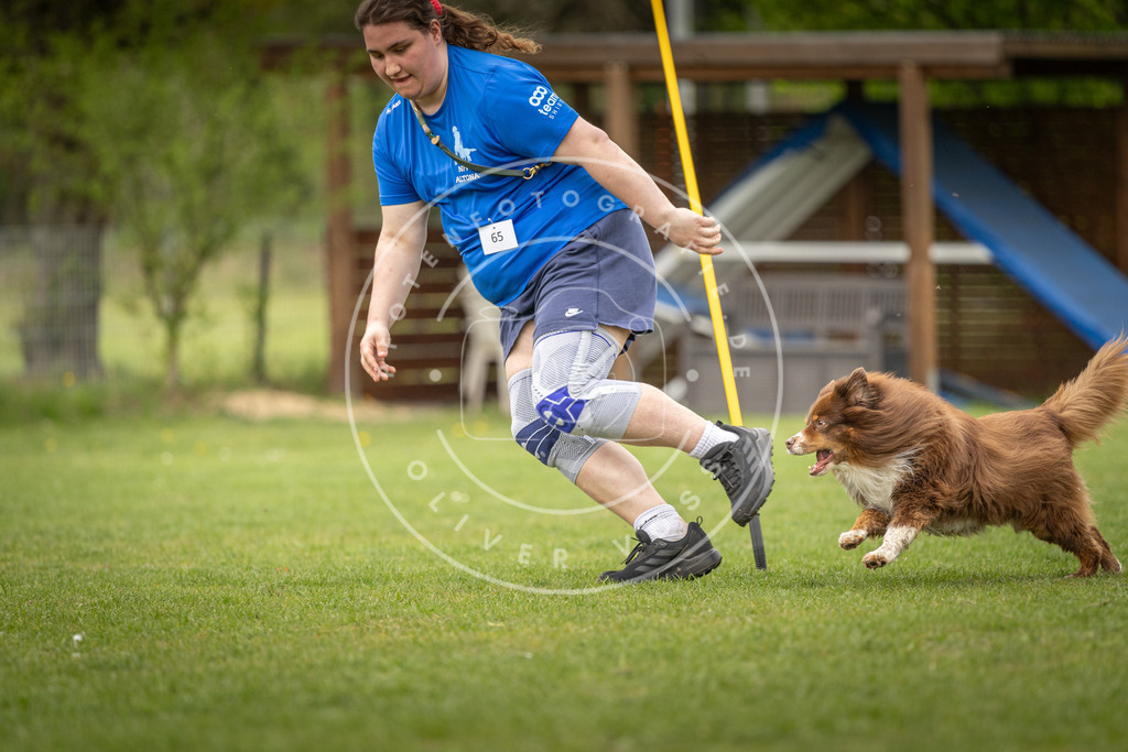 Pfotenfotografie_DV3A1934 | Hundefotografie, Tierfotograf, Pfotenfotografie, Fotoshooting Hund, Hunde Portrait, Hundesport, Hundeportraits, Heideshooting, Hunde, Sportfotograf, Hundefotograf, Turnierhundsport, THS,  - Realisiert mit Pictrs.com