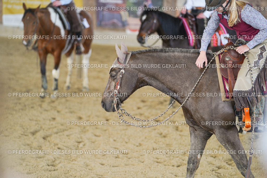 DSC08999 | Pferdegrafie