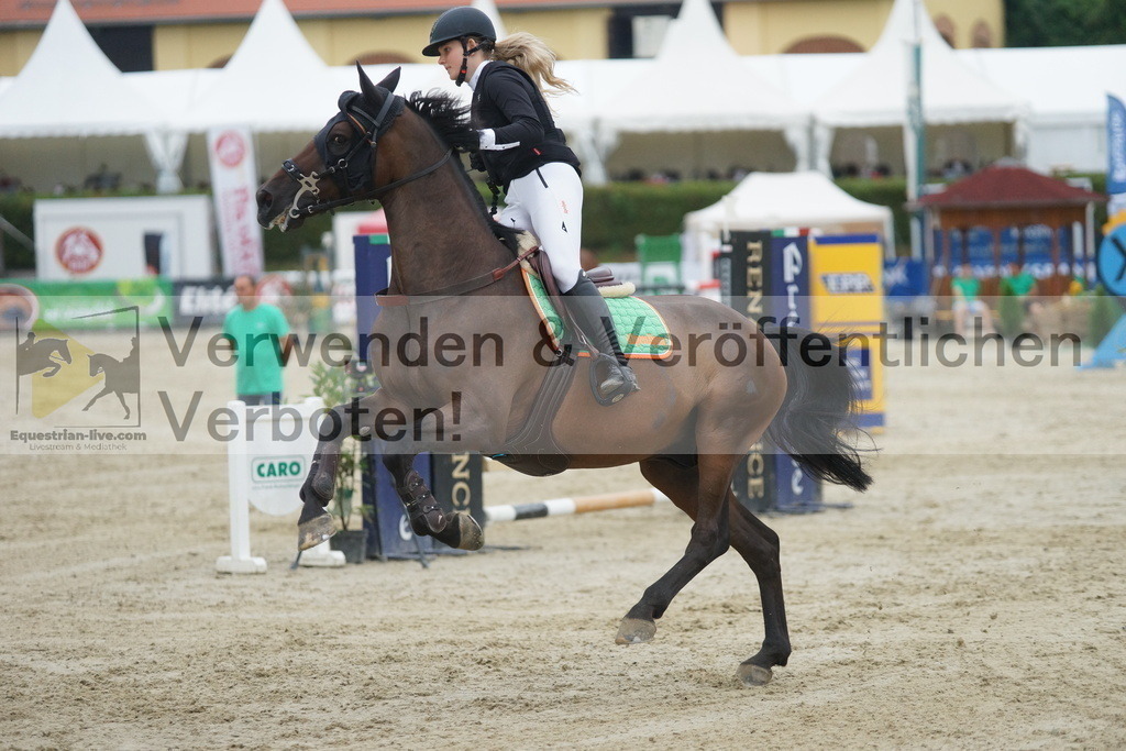 DSC08458 | equestrian-live-com
