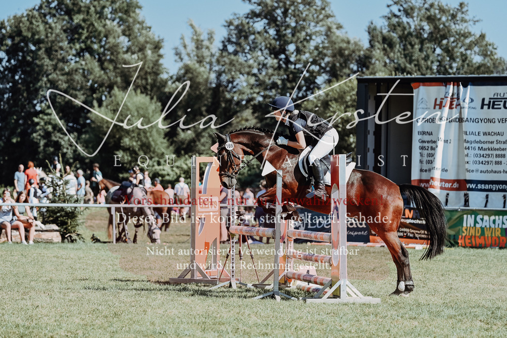 DSC_6658 | Pferde- und Turnierfotografie in Westsachsen. Pferdeportraits, Auftragszeichnungen und intuitive Kunst.