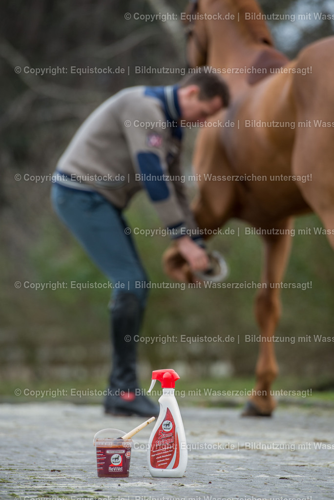 20160226_Ahlmann_0051 | equistock