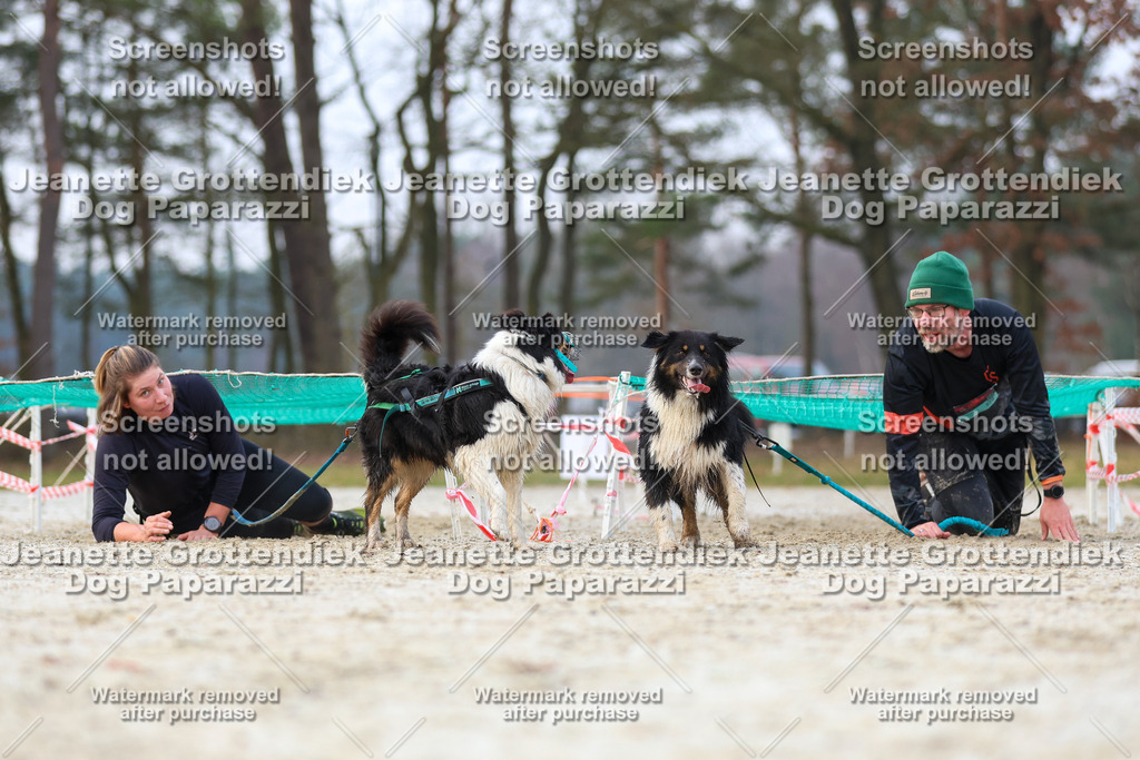 Dog Paparazzi - Strongdog North Mrz26-3717 | Dog Paparazzi Jeanette Grottendiek Fotografie & Videografie - Realisiert mit Pictrs.com