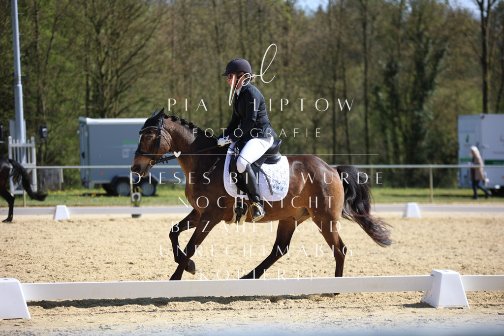 IMGT2256 | pl-fotografie