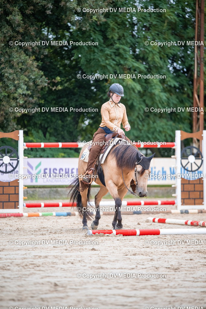 ZS3_4525 | dv-media-shop - Realisiert mit Pictrs.com