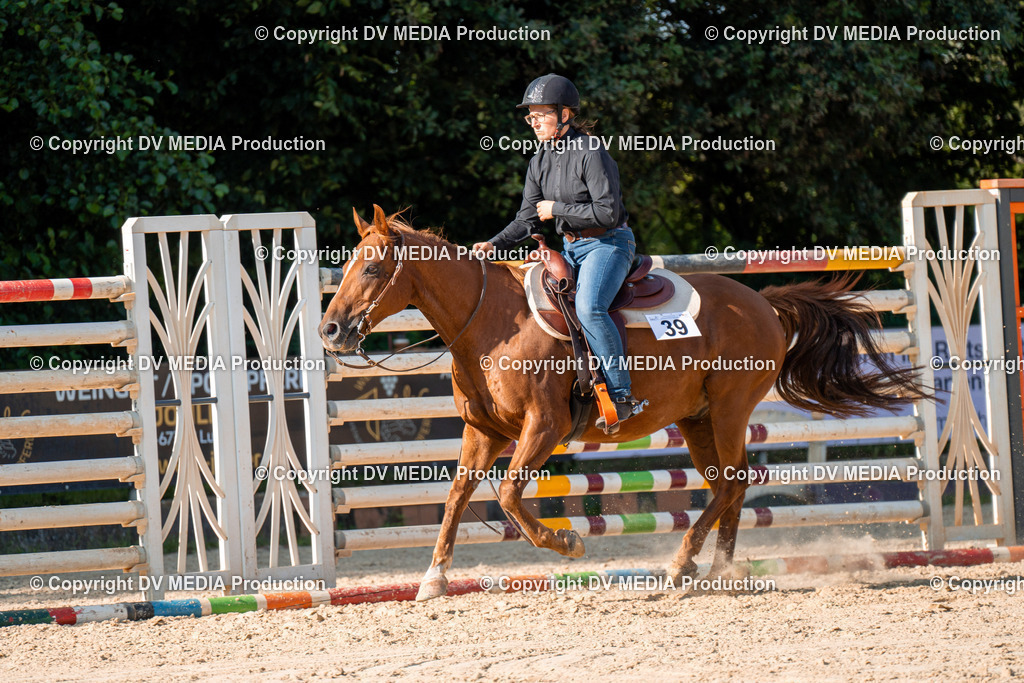 ZH100839 | dv-media-shop - Realisiert mit Pictrs.com