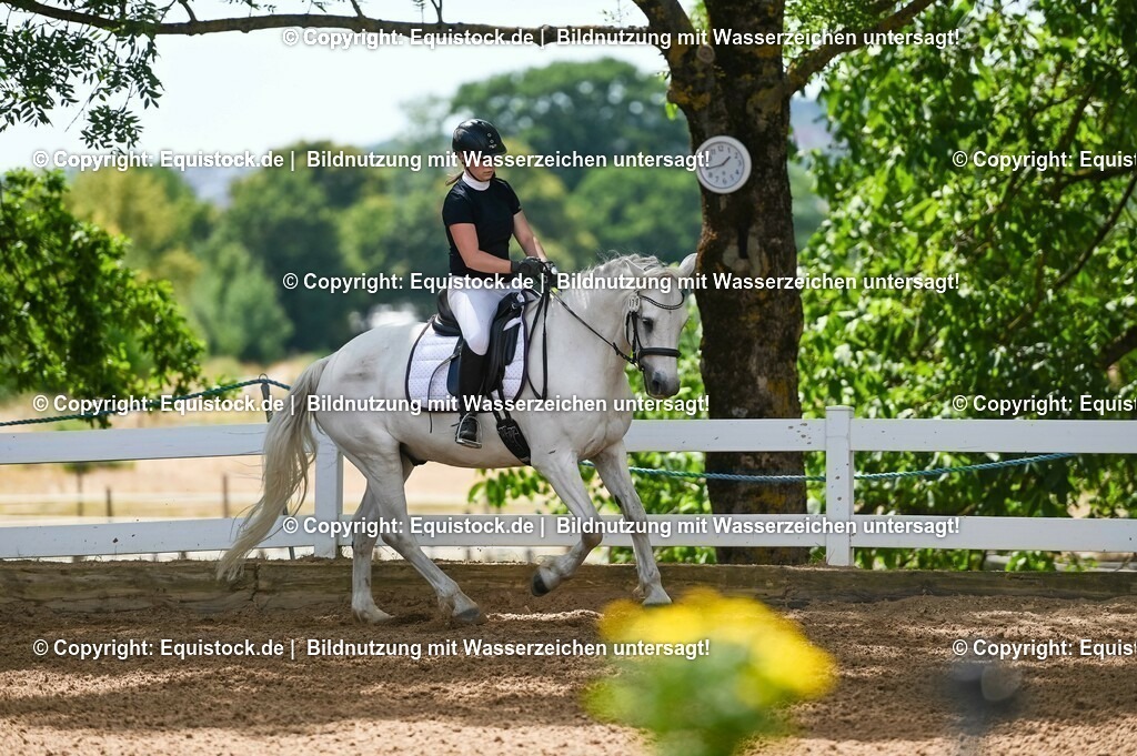 20230715_09_Dressur-WB_0069 | equistock