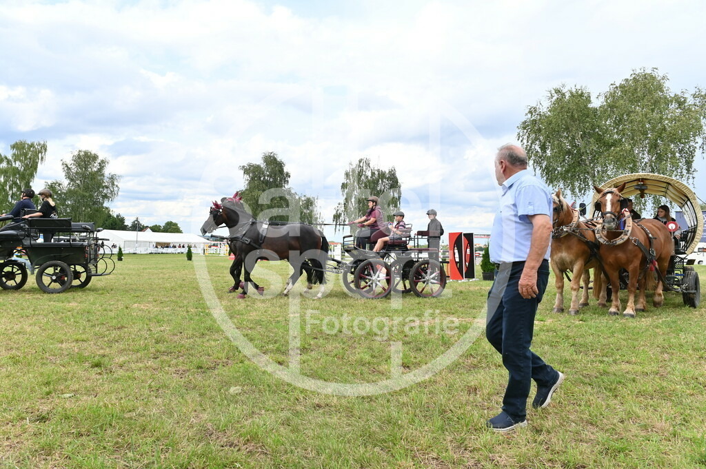 DSC_4638 | sattelsport - Realisiert mit Pictrs.com