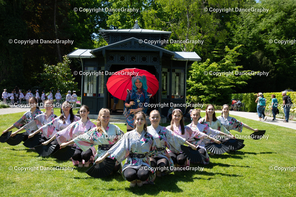 GPHY3946 | DanceGraphy - Realisiert mit Pictrs.com