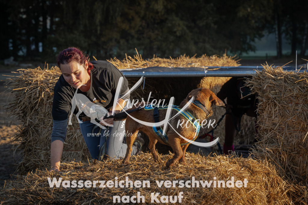 0905_ZZ91130 | kk-dogfotos