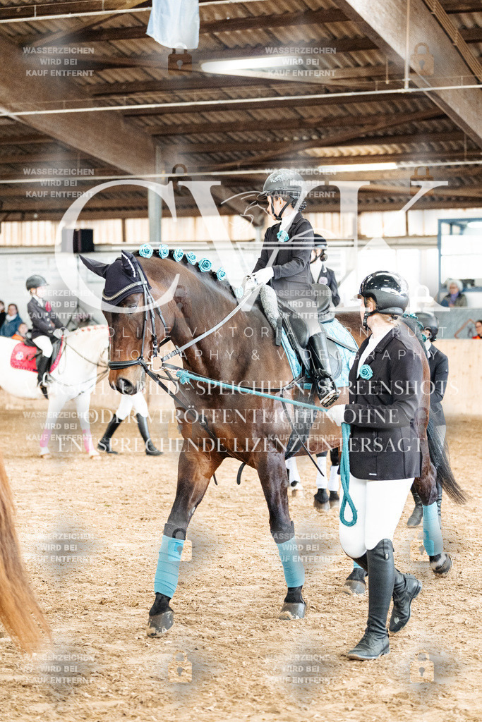 CK905950 | Turnierfotografie Pferdefotografie Trier Rheinland-Pfalz Pferdesport Reitsport Tierfotografie Sportfotografie Pferdevideo Pferdevideografie Equestrianvideography equestrianphotography  - Realized with Pictrs.com
