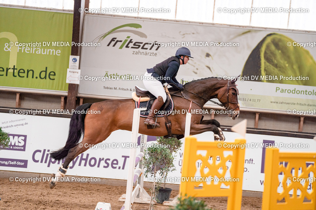 Kranichstein Tag 3-362 | dv-media-shop - Realisiert mit Pictrs.com