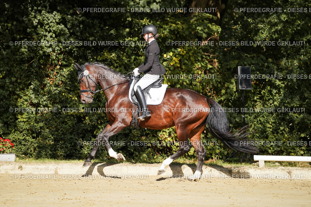 DSC08055 | Pferdegrafie