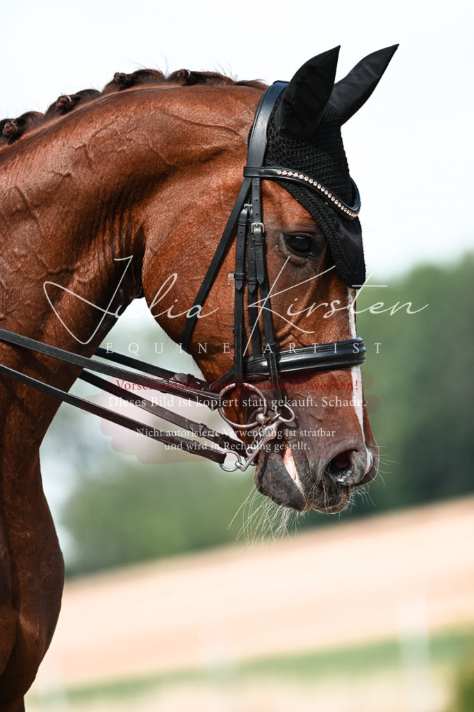 DSC_3255 | Pferde- und Turnierfotografie in Westsachsen. Pferdeportraits, Auftragszeichnungen und intuitive Kunst.