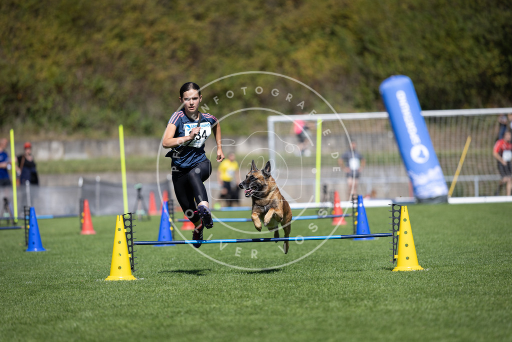Pfotenfotografie_DV3A5782 | Hundefotografie, Tierfotograf, Pfotenfotografie, Fotoshooting Hund, Hunde Portrait, Hundesport, Hundeportraits, Heideshooting, Hunde, Sportfotograf, Hundefotograf, Turnierhundsport, THS,  - Realisiert mit Pictrs.com