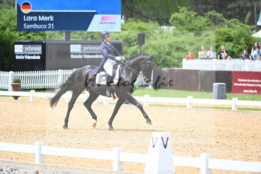 Merk_Sambuco_11233585 | hf-fotografie - Realisiert mit Pictrs.com