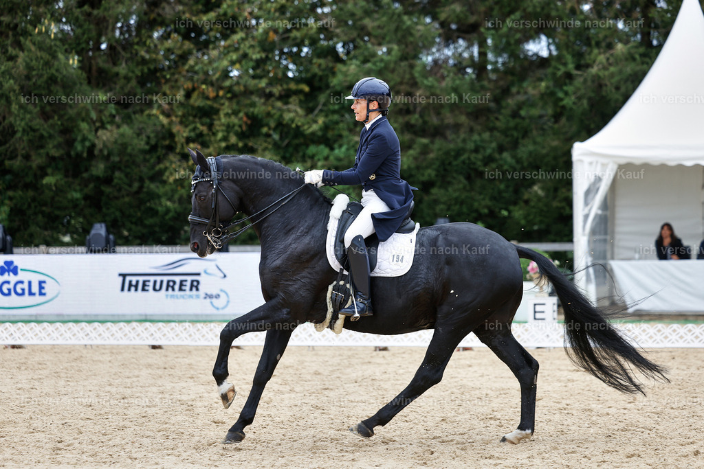 11-194-Dressur S___-StoibPH-1462 | working equitationturnier fotograf videograf stoibphotography marixx film working equitation deutschland reitsport turnierfotografie eventfotografie equestrian events