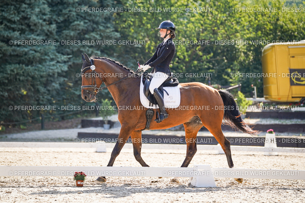 DSC09797 | Pferdegrafie