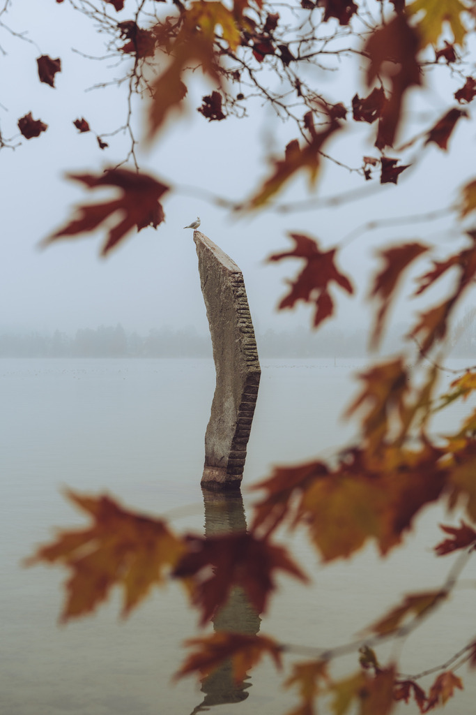 Kunst im See | Vilette Park - Realisiert mit Pictrs.com
