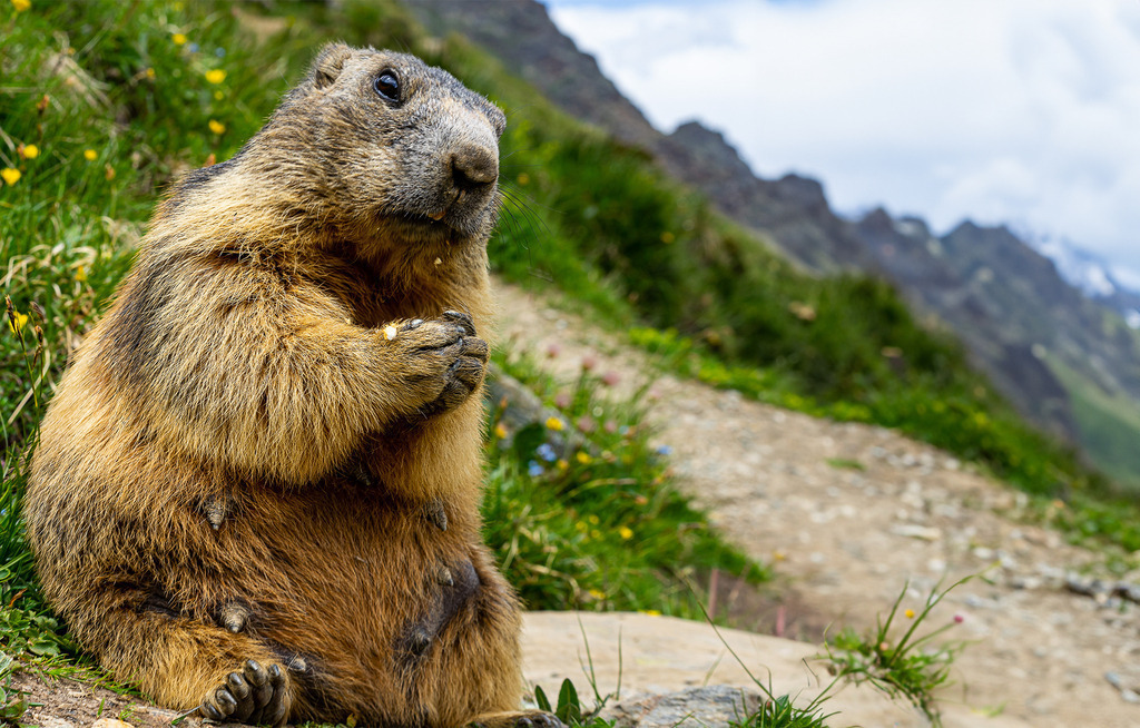 Mahlzeit | <meta name="keywords" content="Bergbilder, Hochzeitsfotografie, Actionshootings, Fotografiearbeiten, Berglandschaften, Naturfotografie">

 - Realisiert mit Pictrs.com
