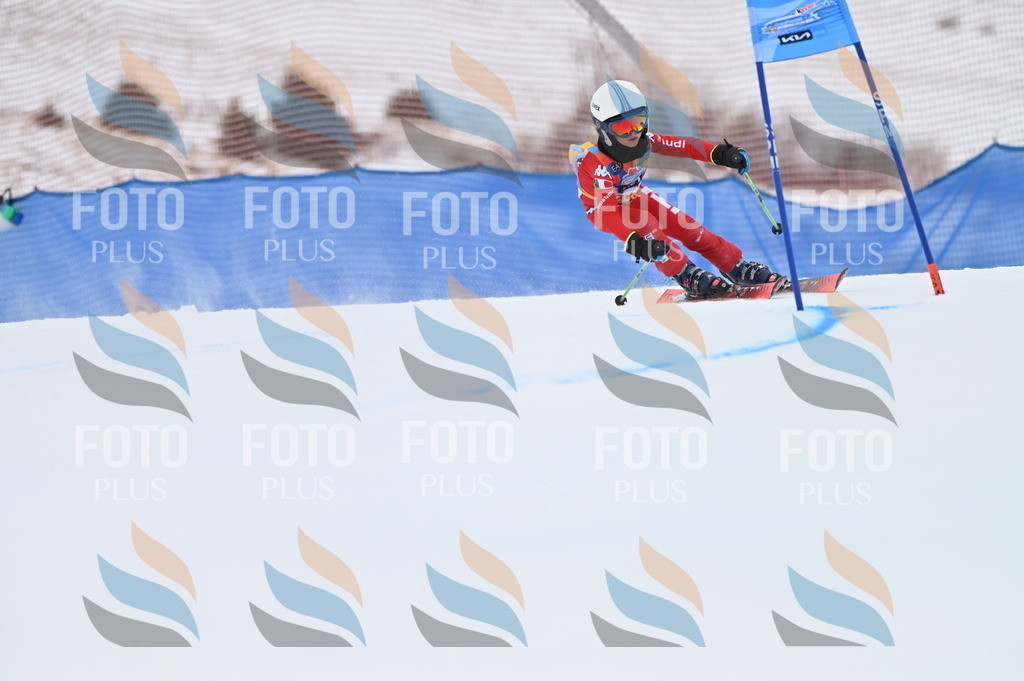 BGV_2843 | holidayphoto