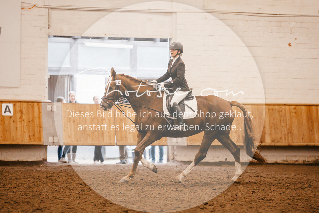 3I6A6169 | Stimmungsvolle Portraits und Reitsportfotografie im Ruhrgebiet und im Münsterland.

Pferdefotografie, Hundefotografie, Tierfotografie, Reportagen, Portraits von Tier und Mensch, Turnierfotografie in Bochum, Recklinghausen, Marl, Haltern am See, Dülmen.. - Realisiert mit Pictrs.com