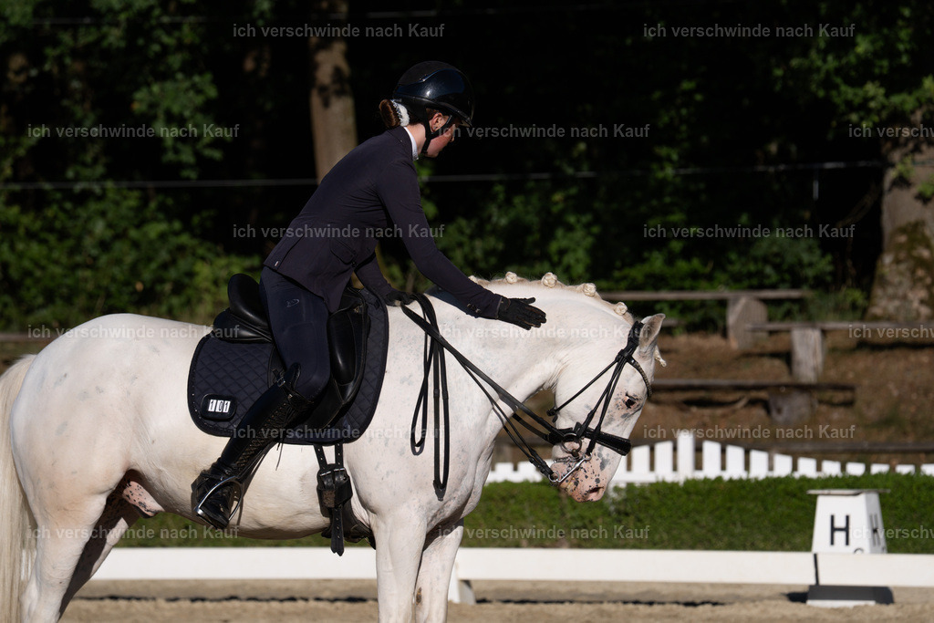 WM_DR_101_sinafilmart_IN04722 | working equitationturnier fotograf videograf stoibphotography marixx film working equitation deutschland reitsport turnierfotografie eventfotografie equestrian events