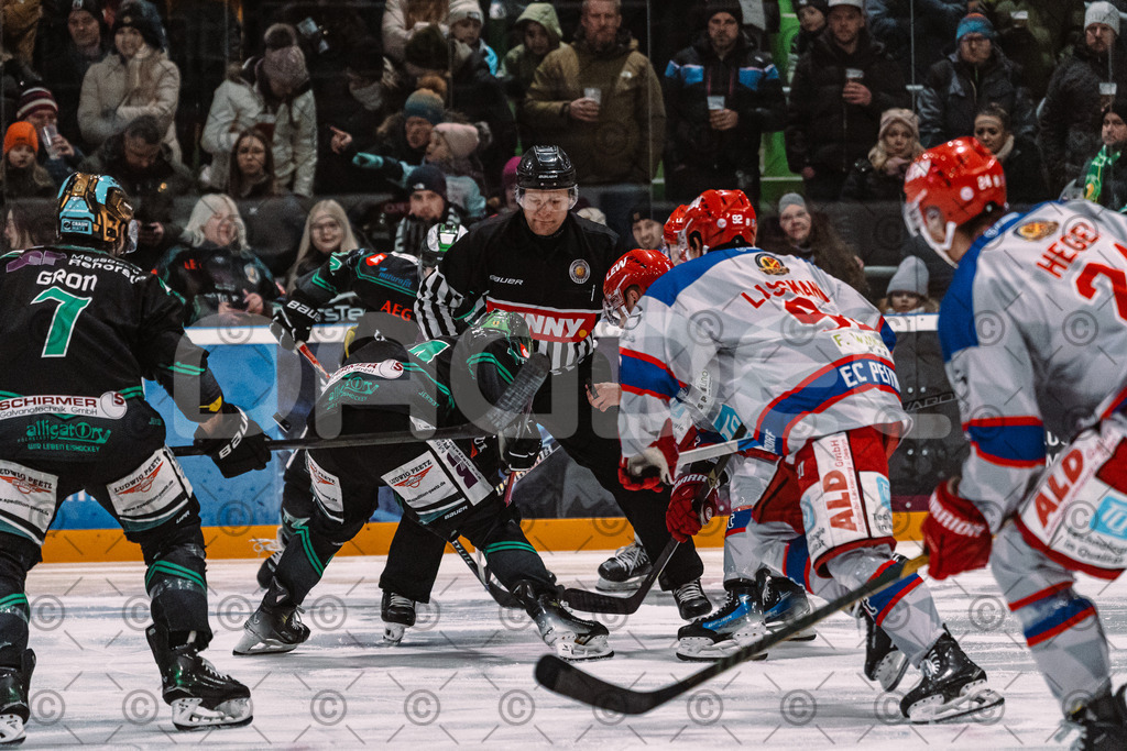 Alligators_vs_Peiting_04_01_2026-015 | Höchstadt Alligators Fotogalerie: Eishockey-Action aus Franken. Professionelle Spielfotos, Portraits & Stadionbilder zum Download. Jetzt entdecken! - Realisiert mit Pictrs.com