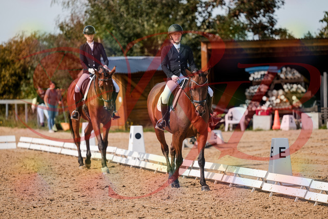 2026_10_03_Siefer-Hof_130909_Z63_71369392 | Professionelle Reitsport-, Turnier- und Eventfotografie von Robert Broda. Galerien mit ausgewählten und bearbeiteten Bildern direkt online ansehen und bestellen.