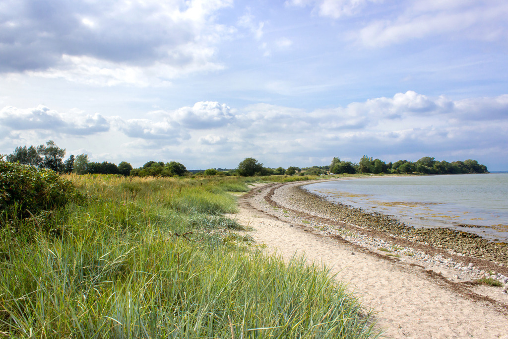 Wandbild: Küstenlinie Habernis – Ursprüngliche Ruhe an der Ostsee | Dieses Wandbild zeigt die stille Schönheit des Naturstrandes von Habernis – ein Ort, an dem die Ostsee ihre sanfte Seite offenbart. Im Vordergrund wiegen sich hohe Gräser im Wind, während sich der sandig-steinige Uferbereich harmonisch entlang der Flensburger Förde erstreckt. Die bewachsene Küstenlinie und der wolkenverhangene Himmel verleihen dem Motiv Tiefe und eine fast meditative Ruhe. Erhältlich als Leinwand, Alu-Dibond, Acrylglas, FineArt Papier oder als Akustikbild, bringt dieses Bild die natürliche Gelassenheit Norddeutschlands in deine Räume. Ideal für alle, die sich nach Ursprünglichkeit, Weite und maritimer Atmosphäre sehnen – ob im Wohnzimmer, Büro oder Ferienhaus. Ein Stück unberührte Ostsee für deine Wand – authentisch, beruhigend und voller Naturkraft. - Realisiert mit Pictrs.com
