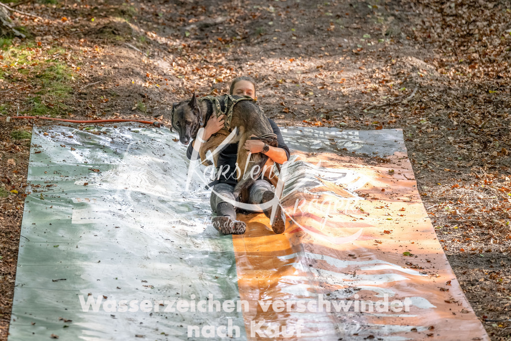 1140_ZZ91865-Bearbeitet | kk-dogfotos