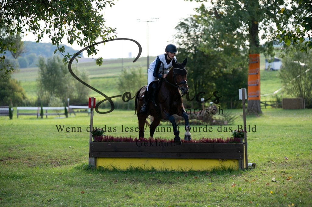 A7V03060 | Pferdefotograf