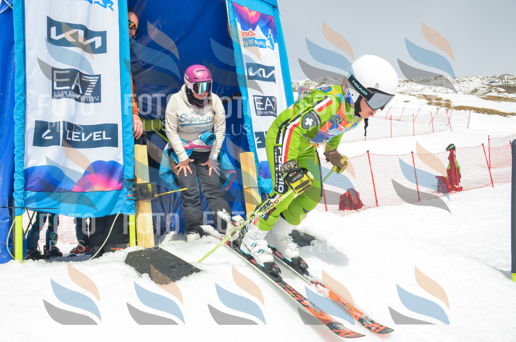 _ELE7932 | holidayphoto