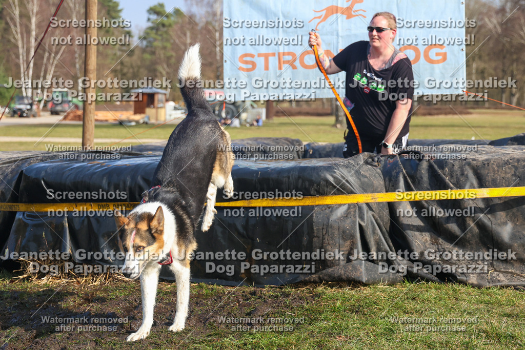 Dog Paparazzi - Strongdog North Mrz26-2962 | Dog Paparazzi Jeanette Grottendiek Fotografie & Videografie - Realisiert mit Pictrs.com