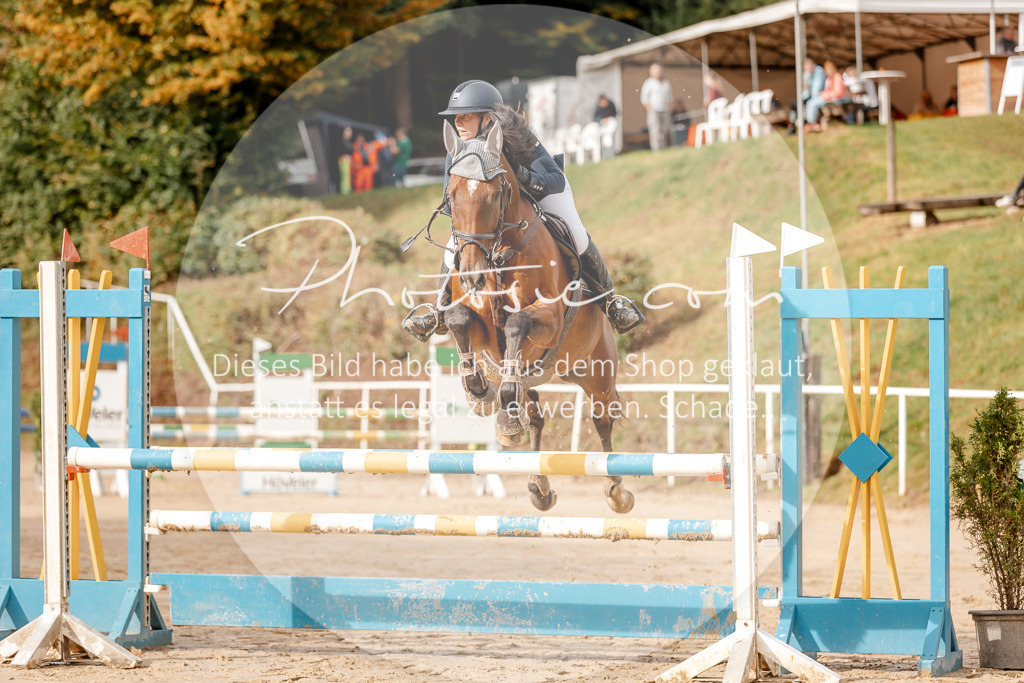 3I6A6448 | Stimmungsvolle Portraits und Reitsportfotografie im Ruhrgebiet und im Münsterland.

Pferdefotografie, Hundefotografie, Tierfotografie, Reportagen, Portraits von Tier und Mensch, Turnierfotografie in Bochum, Recklinghausen, Marl, Haltern am See, Dülmen.. - Realisiert mit Pictrs.com
