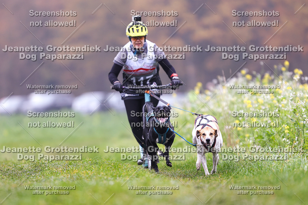 Dog Paparazzi - Visbeck 25 -77 | Dog Paparazzi Jeanette Grottendiek Fotografie & Videografie - Realisiert mit Pictrs.com