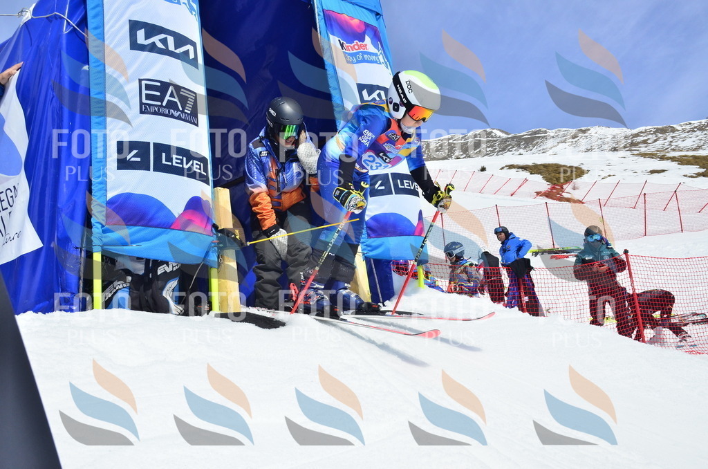 _ELE1704 | holidayphoto