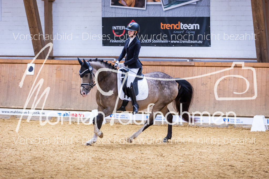 Sth-A-Dre-2St-018 | MomenTaufnahmen Pferdesportfotos