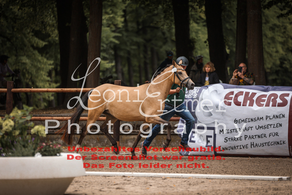 8.So00024 | Leoni Ertmer Photography - Realisiert mit Pictrs.com