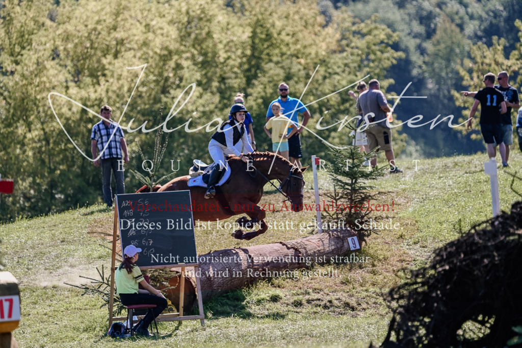 DSC_2655 | Pferde- und Turnierfotografie in Westsachsen. Pferdeportraits, Auftragszeichnungen und intuitive Kunst.